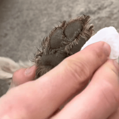 Woofy Paw Wash - Woofy Wuffy™