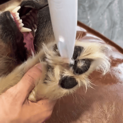 WuffCut Pro - Woofy Wuffy™