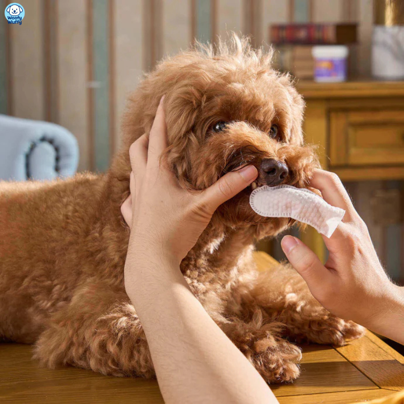 HappyPaws Teeth Wipes - Woofy Wuffy™