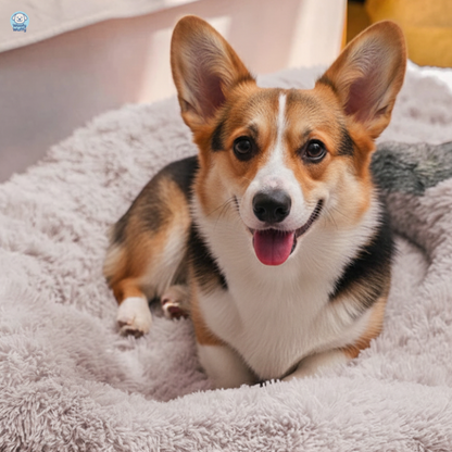 Donut Fluffy Dog Bed - Woofy Wuffy™
