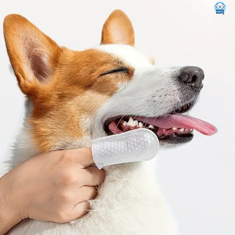 HappyPaws Teeth Wipes - Woofy Wuffy™
