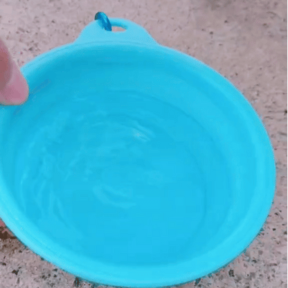 Portable Foldable Bowl - Woofy Wuffy™