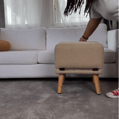 Convertible Pet Ramp & Stairs- Woofy Wuffy™